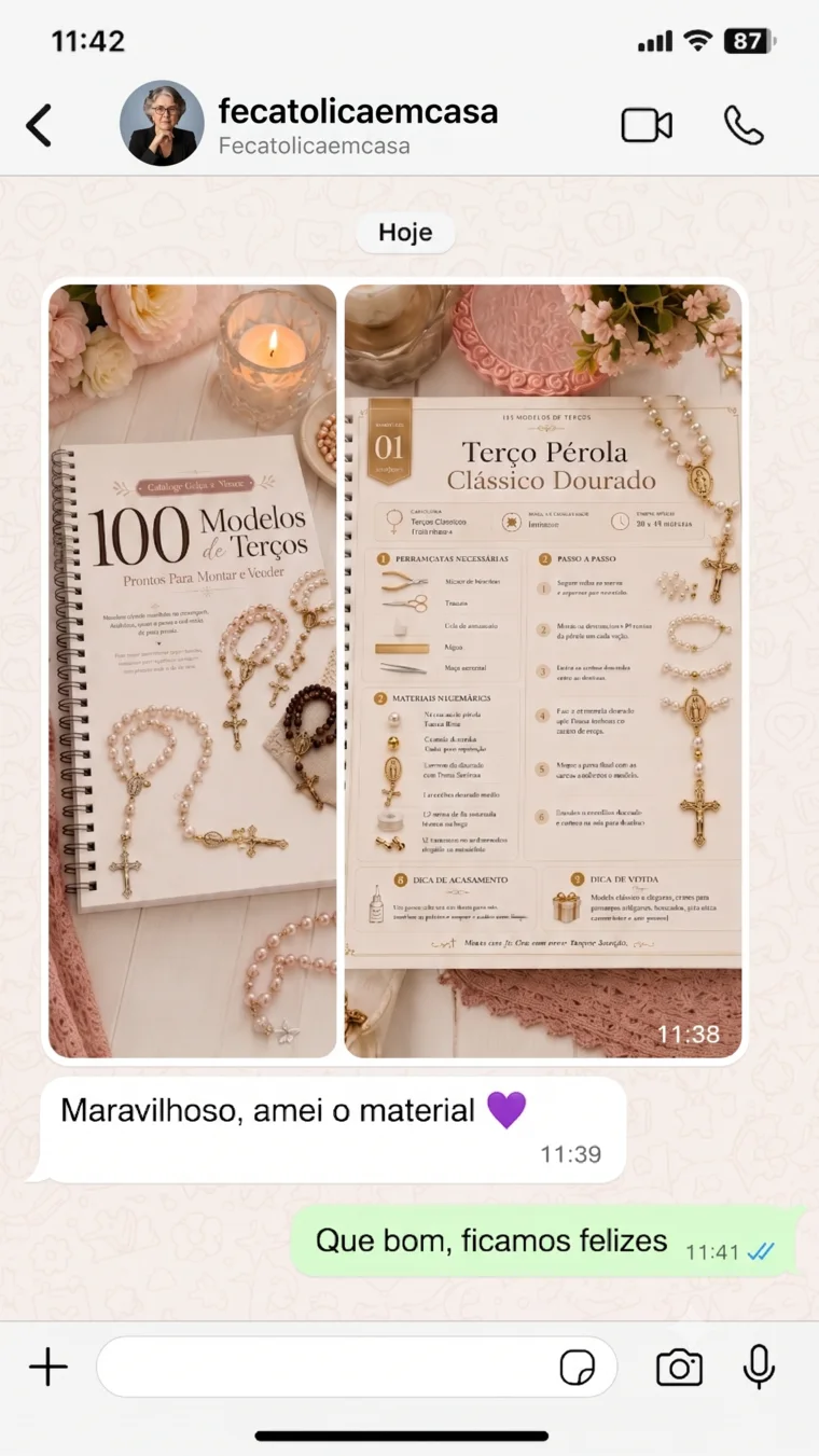 Print de conversa de WhatsApp de cliente elogiando o material